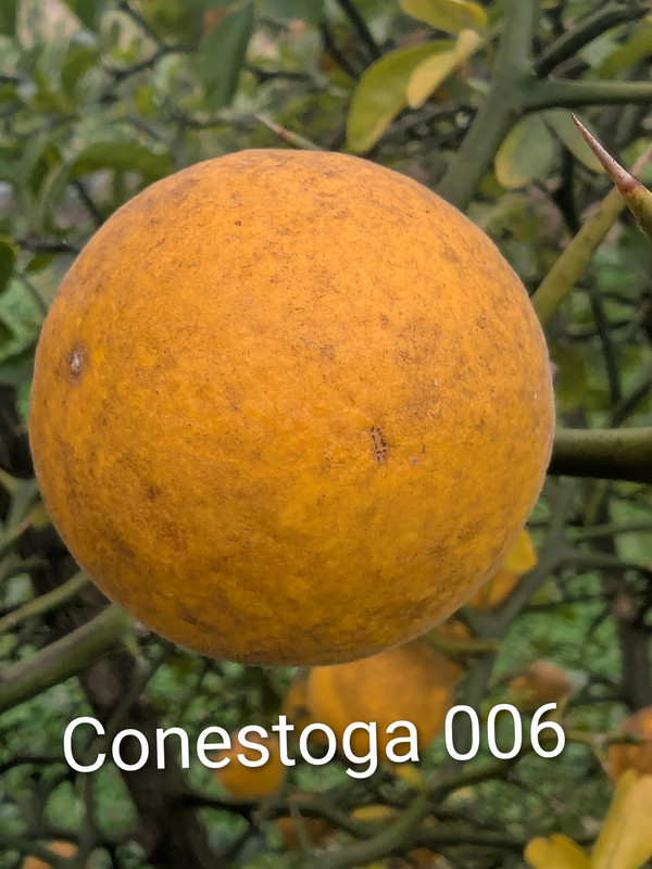 PXL_20251014_160714826~2
