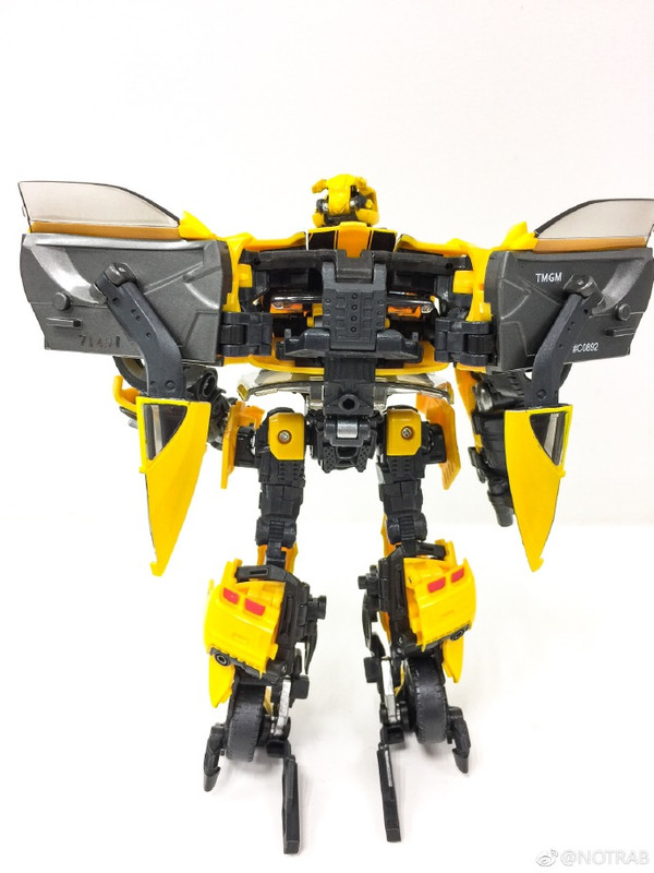 MPM-3-Bumblebee-19