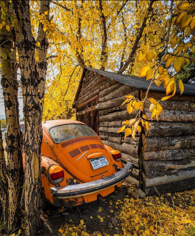 Screenshot_20231206_222328_Instagram