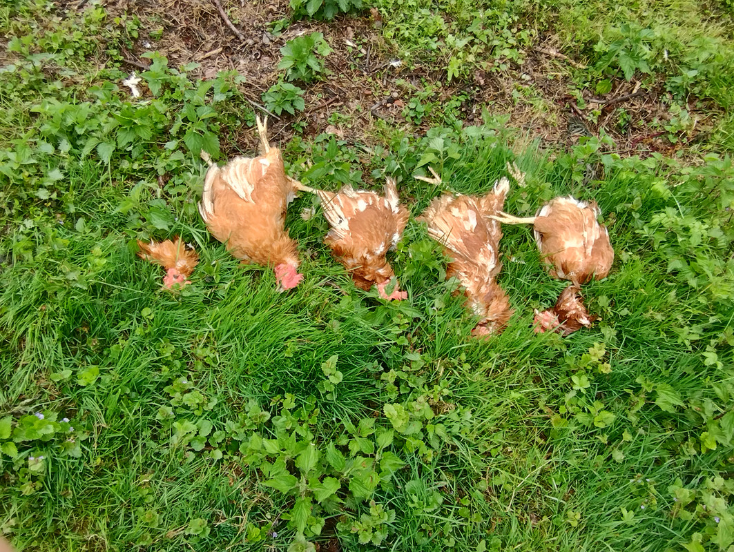 IMG_20250515_110945143_HDR