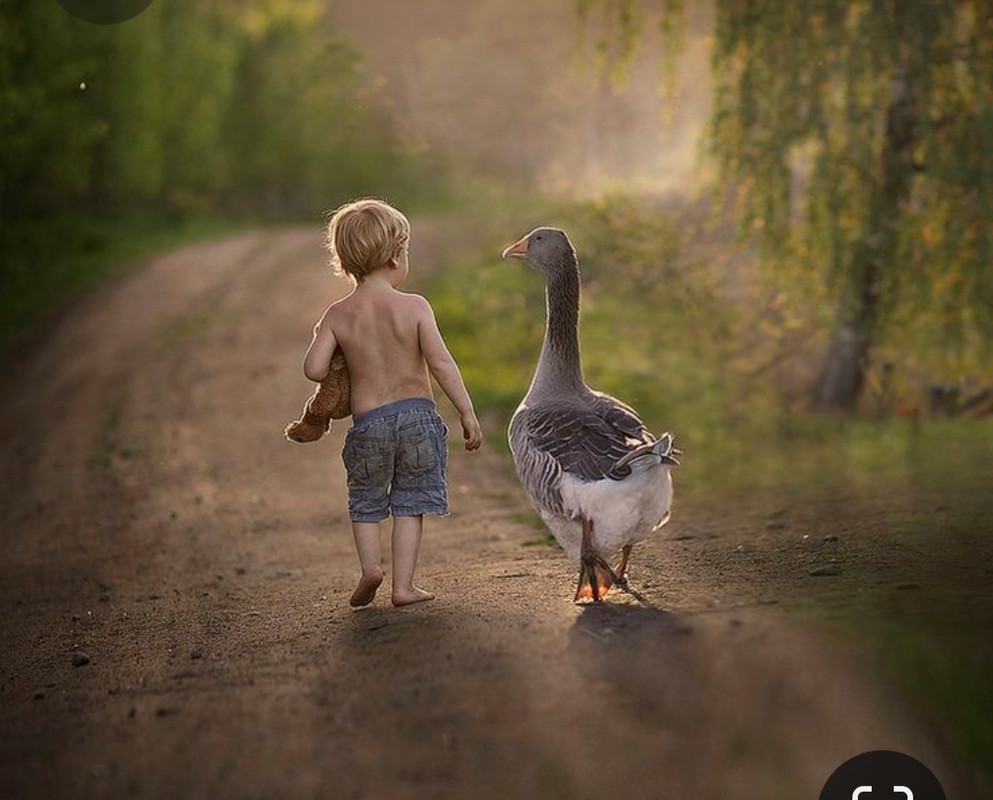 Screenshot_20231030_202639_Pinterest