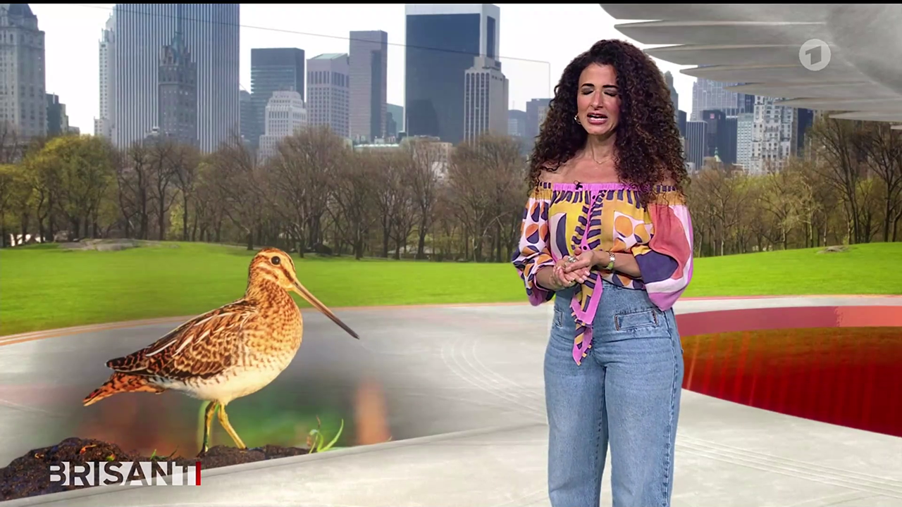 Marwa Eldessouky ARD BRISANT 17 04 2026 82X Caps 37