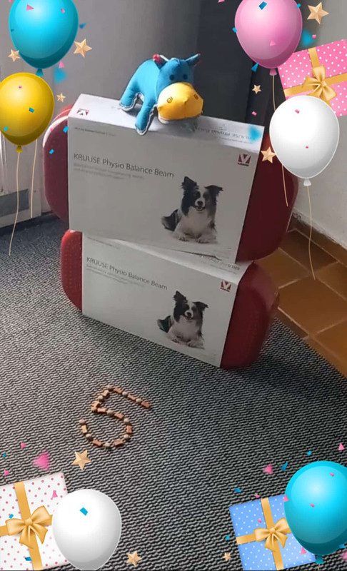 Screenshot 20260213 191745 Whats App