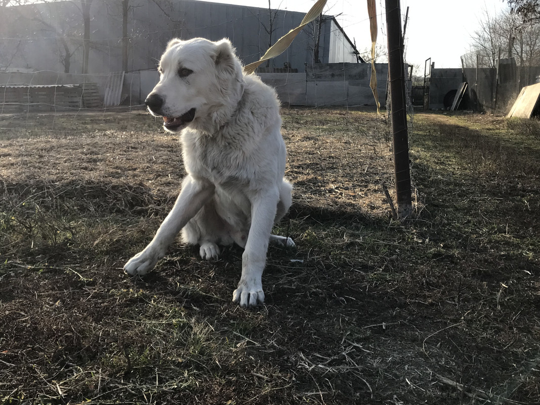 0D93773A-D450-4919-B956-BC69D01BF5EA