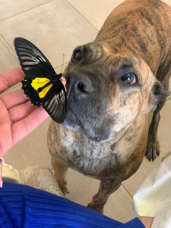 F2E47042-064B-4A8B-ADA7-47DAC07383B8