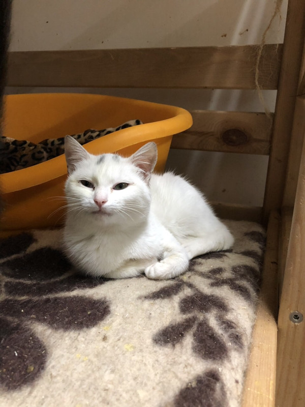 5707ECA7-CB56-4B7B-A317-FDAF61AFCF74