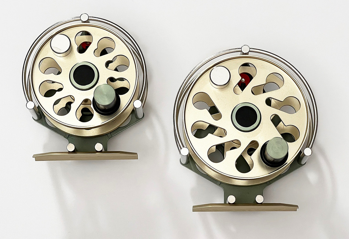 297666389_3390583067838101_7932542723744955780_n