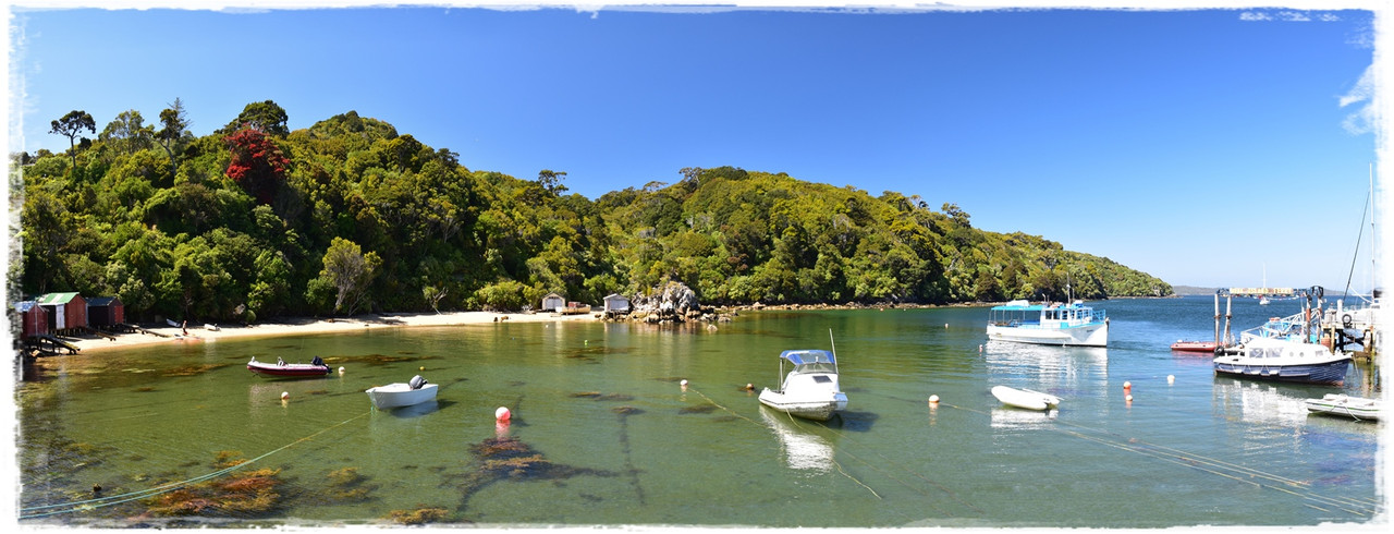 Escapadas y rutas por la Nueva Zelanda menos conocida - Blogs de Nueva Zelanda - Stewart Island:  kiwis, Coast to Coast y unos días en Oban (febrero 2021) (63)