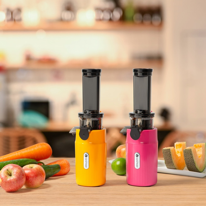 Ventray Ginnie Slow Mini Juicer
