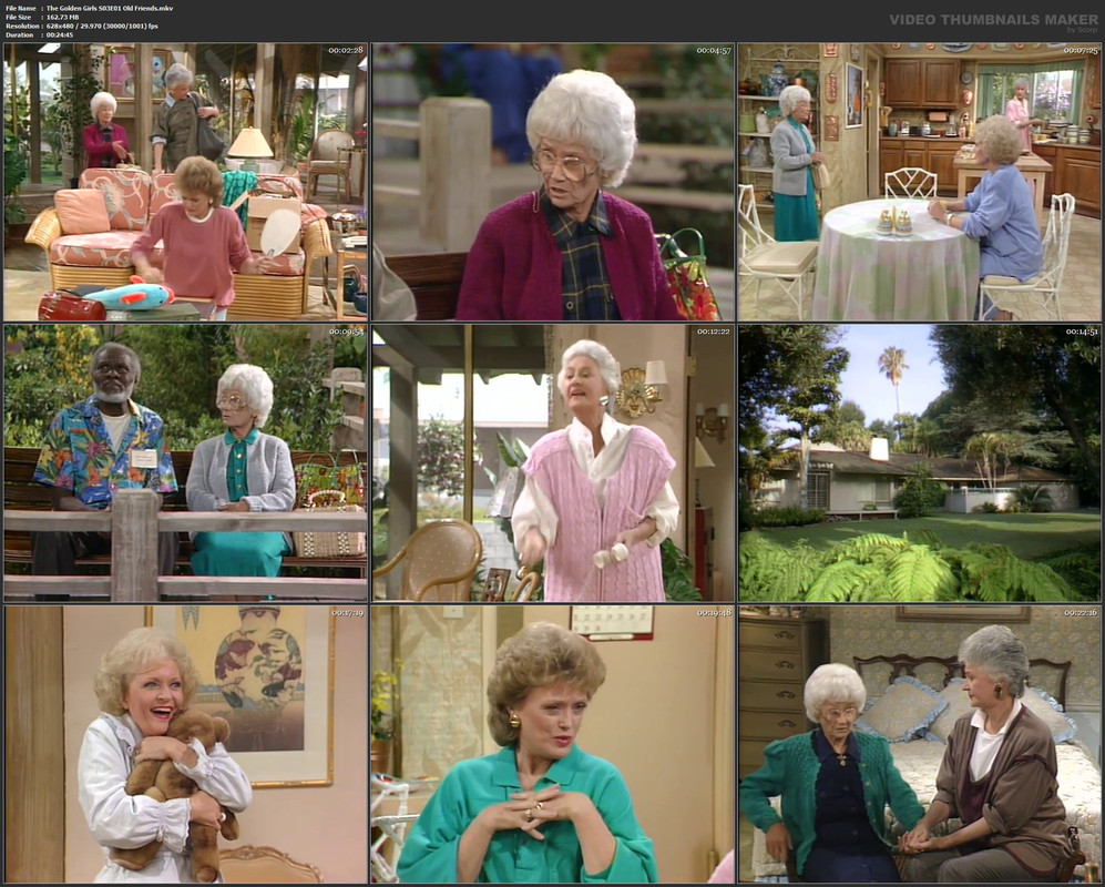 The Golden Girls S03E01 Old Friends.mkv