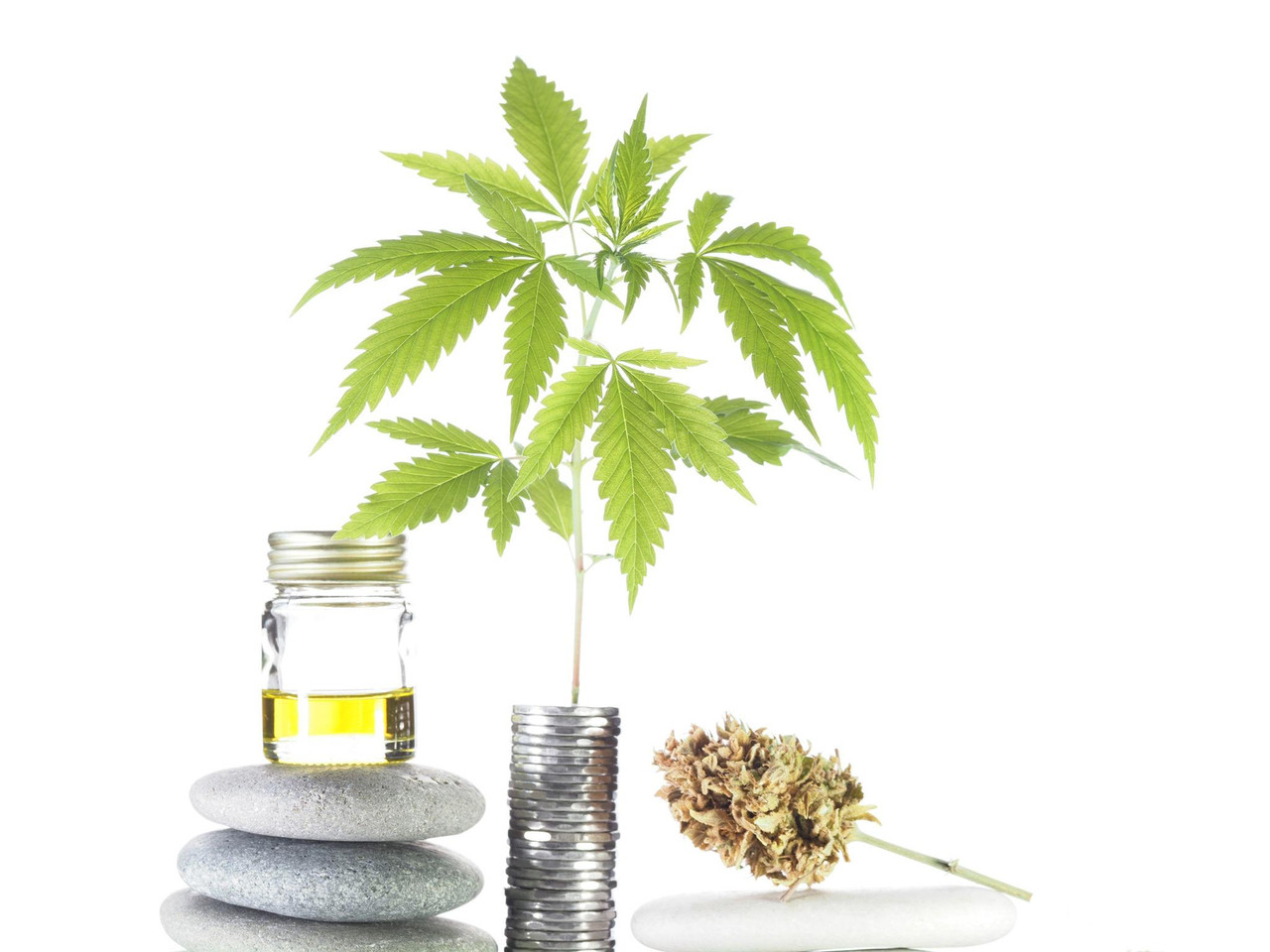 Premium concentrates