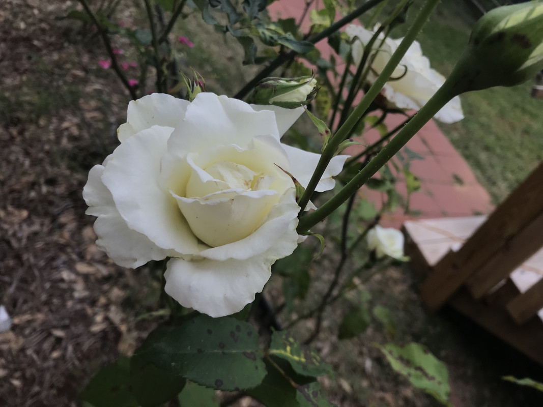 DCCB667F-8807-4754-887B-EF742B549D8F