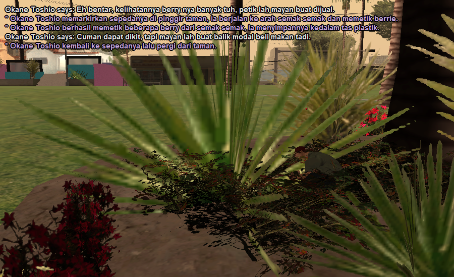 SS-CK-5.png