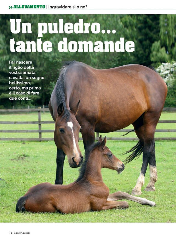 Il Mio Cav (Mag 2022) 11