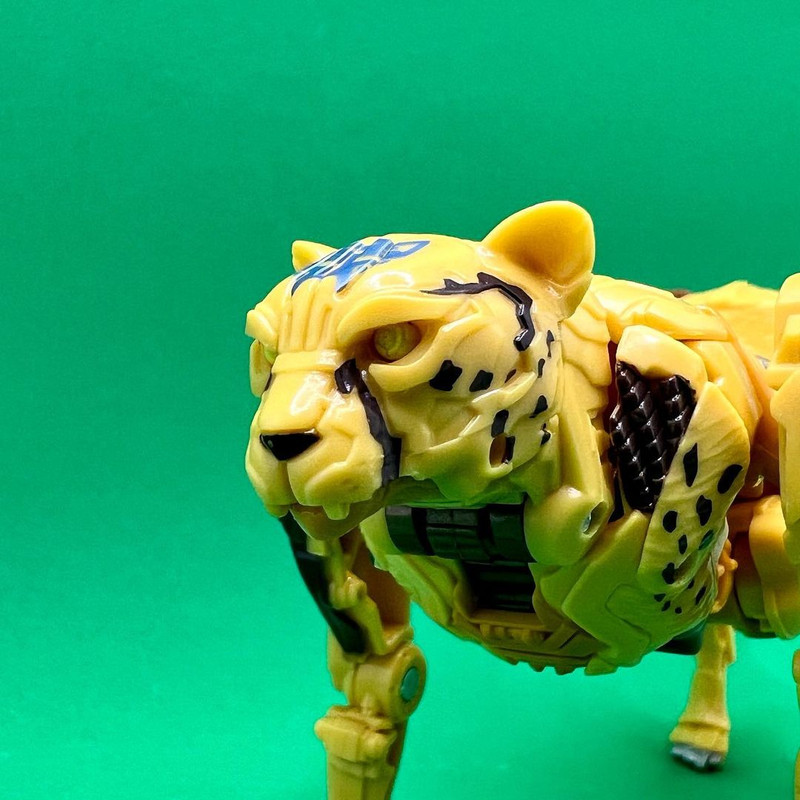 08-ROTB-Cheetor