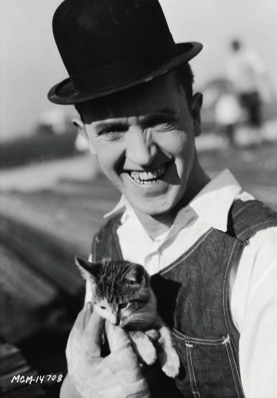Stan-Laurel