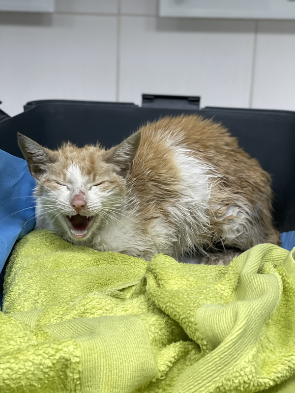 2A626D3A-6419-410A-9FF1-B52DA2A7F6F4