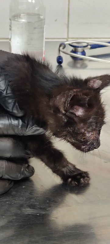 изображение_viber_2020-10-18_16-17-36