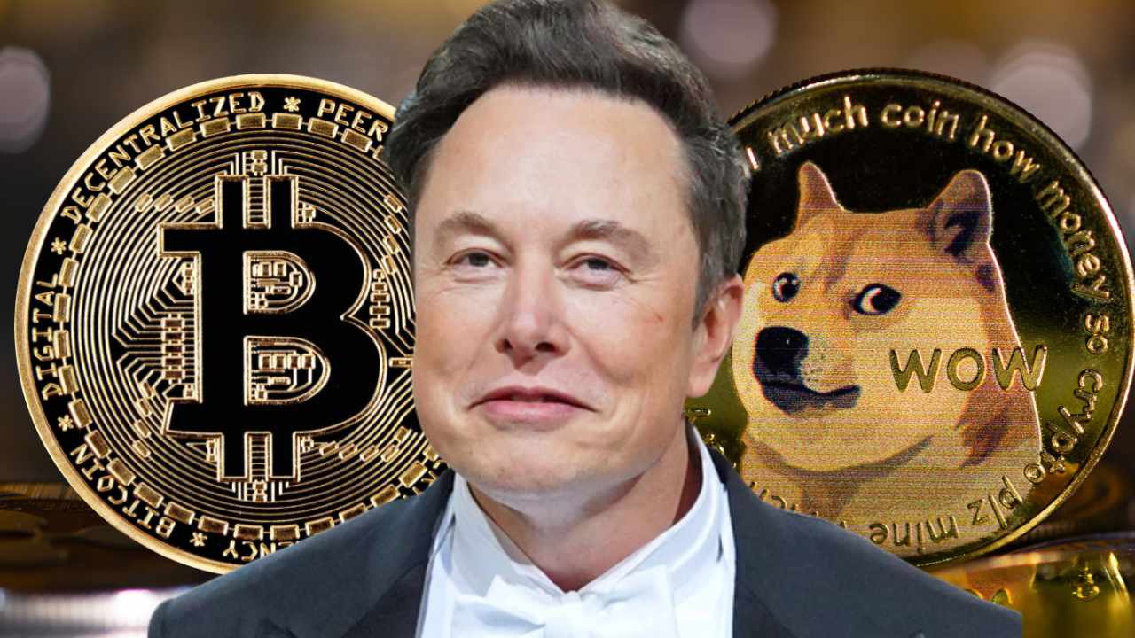 ماسك: لا أنصح بالاستثمار في العملات المشفرة حتى «Dogecoin»
