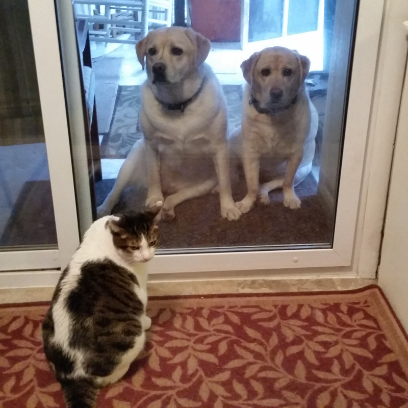 corleyfoto-boundaries.jpg