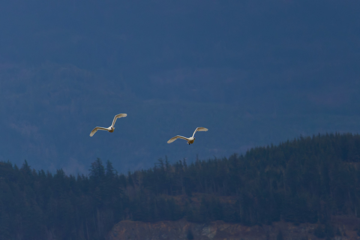 9BB0D4A9-F035-470F-884D-993B7129C8C3