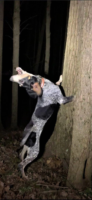 Resized_IMG954252 (1)