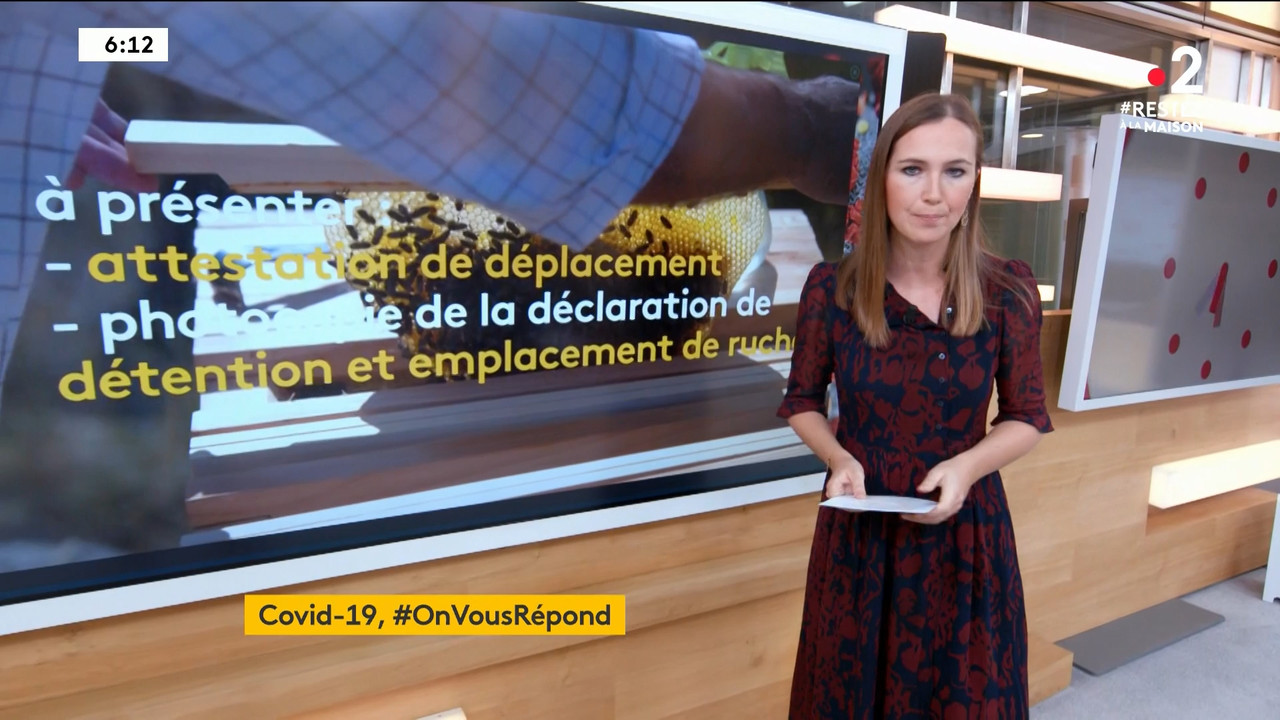 2020-04-09_06_00_Fr2_Le-6h-info.mp4_snapshot_17.40_[2020.04.19_22.51.05]