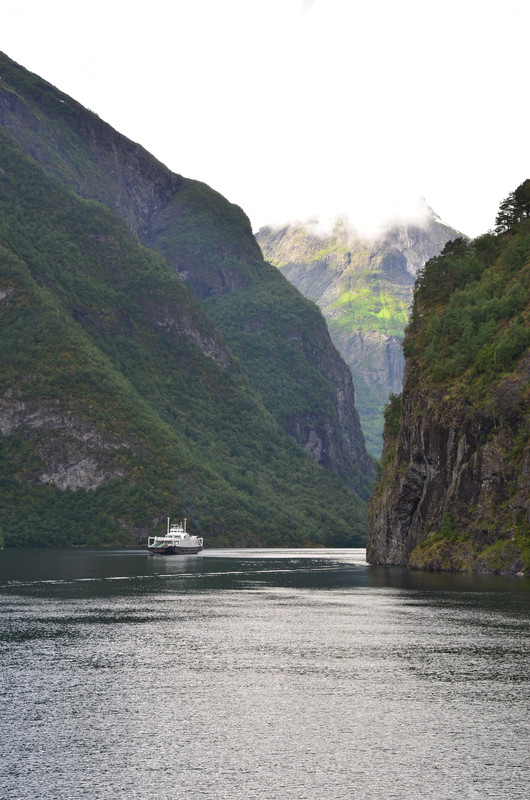Noruega 10 días de cabañas y con niños - Blogs de Noruega - ETAPA 7- Crucero por el Fiordo Nærøyfjordenr, desde Kaupanger a Gudvangen (6)