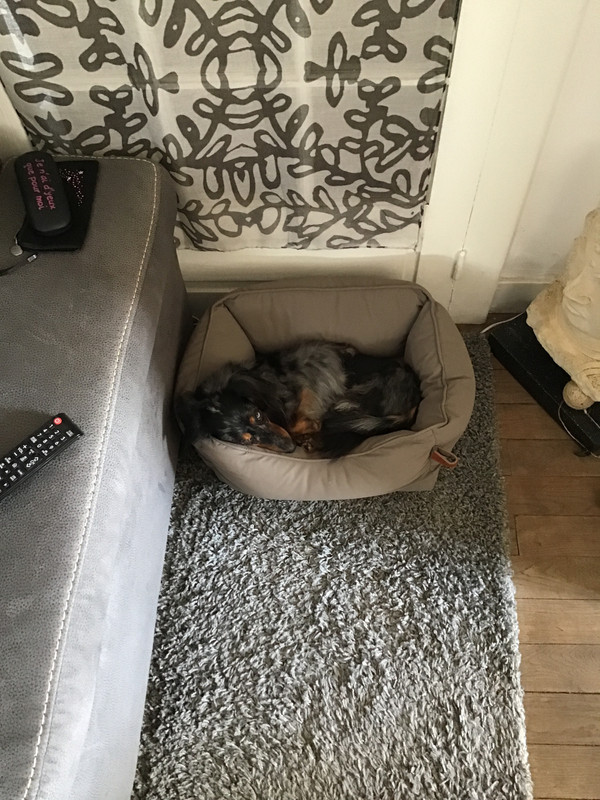 [Image: B0808635-86-CD-40-C3-A998-CF7-A1352-C288.jpg]