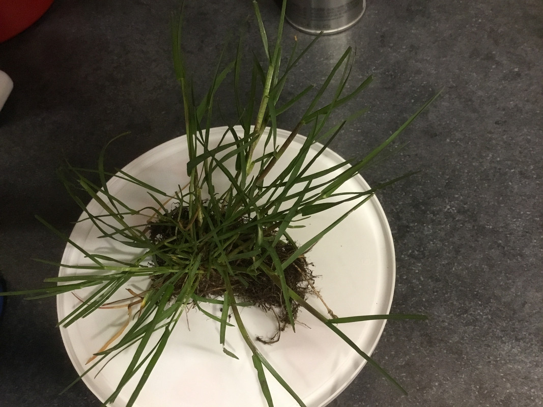 089C54D8-6321-463B-A8FD-F29EF2F784D3