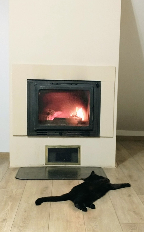 IMG_20251017_183019756~4