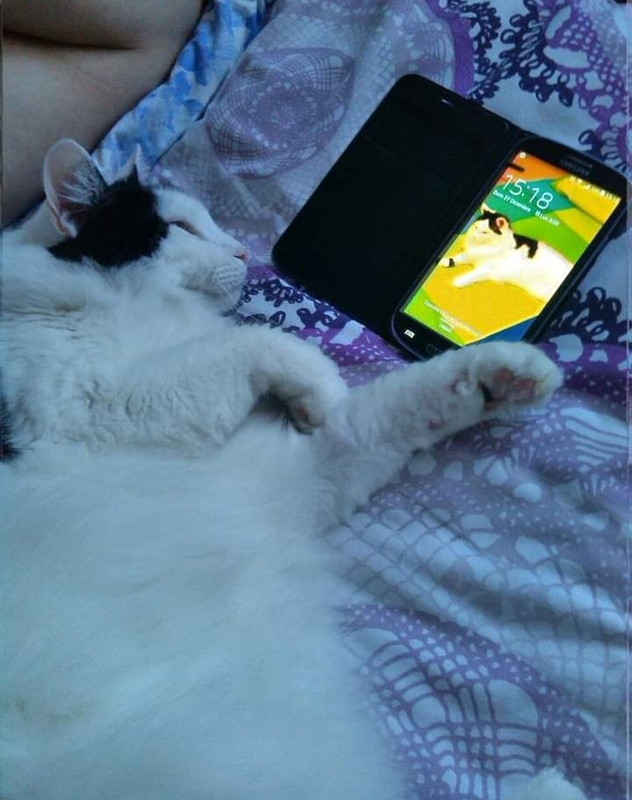 Screenshot_20230723-200054_Facebook