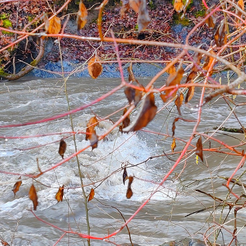 IMG-20260211-122907bbbbbb