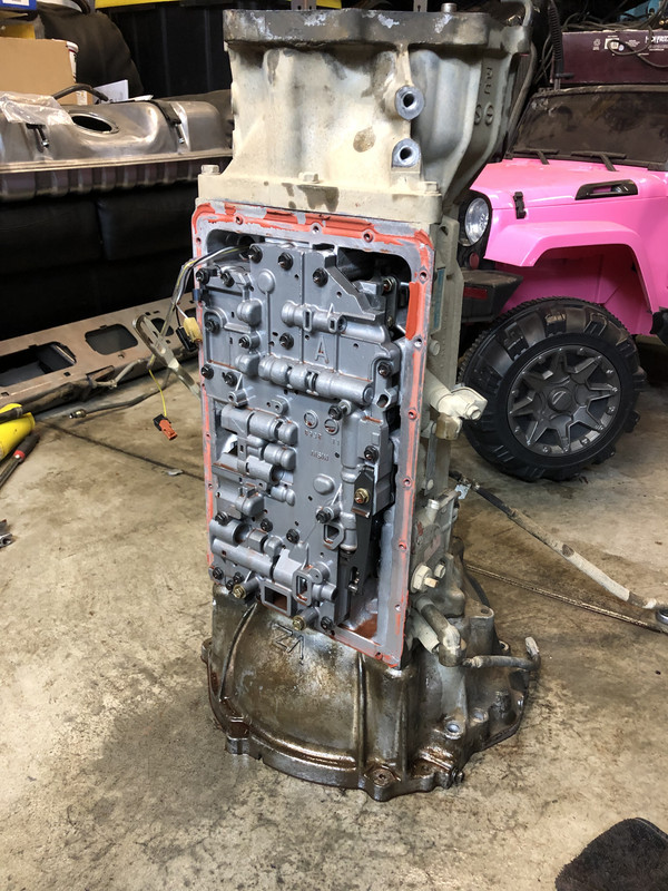F8-C3-BEDB-E315-4-BA9-881-A-F4-ACAC3332-C6.jpg
