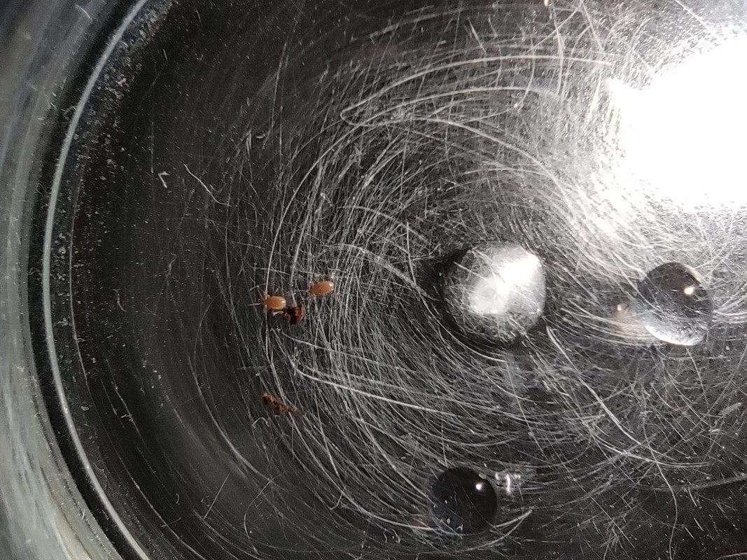 WhatsApp Image 2020-09-25 at 21.29.52(6)