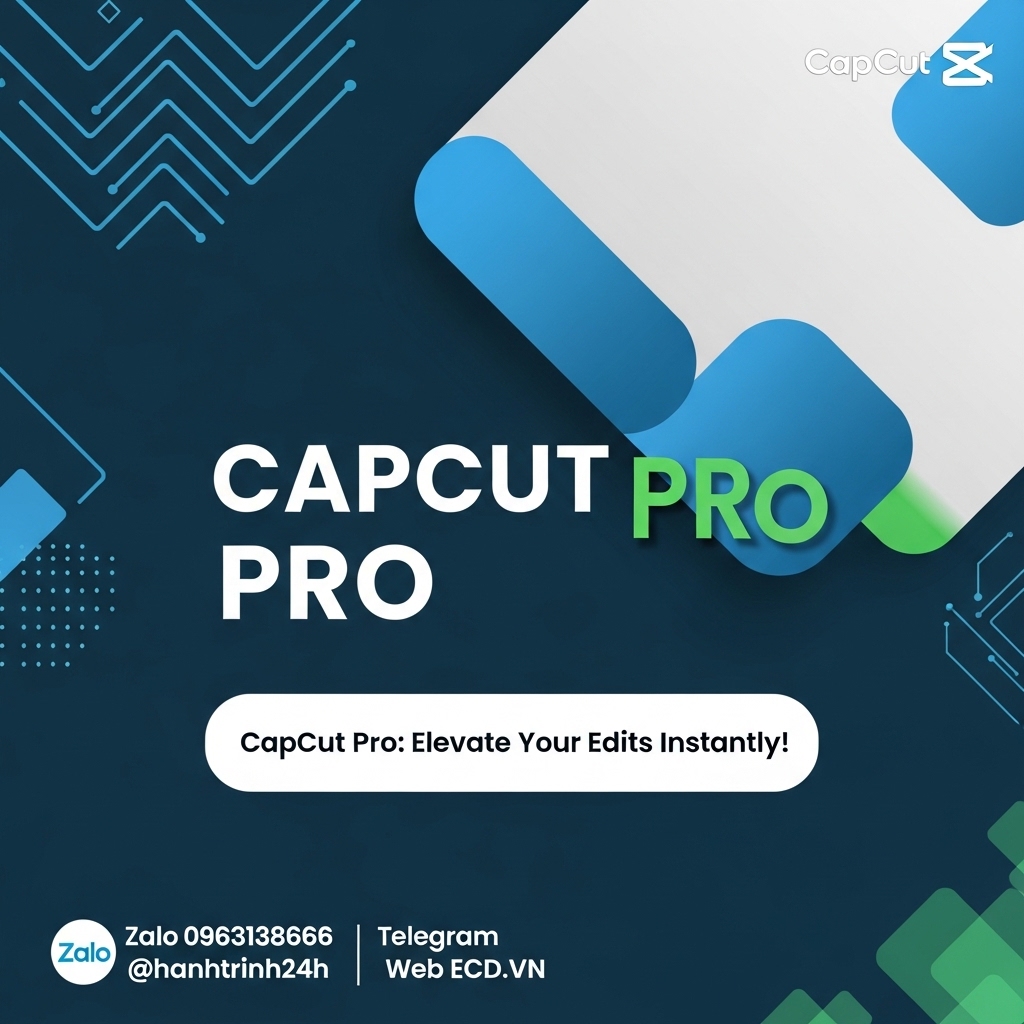 pay later capcut viral