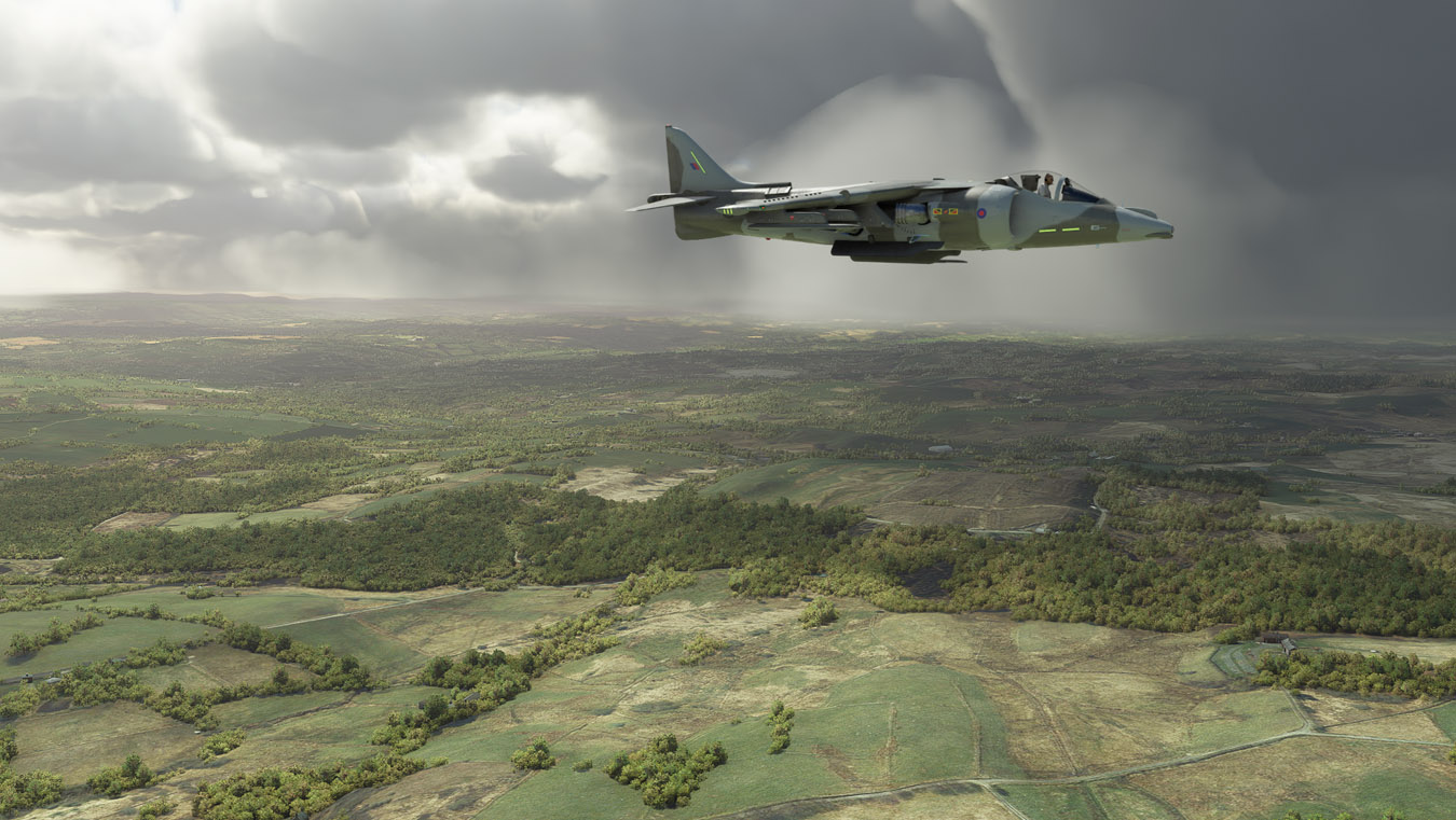 Harrier-Wales-01-1350.jpg?dl=1