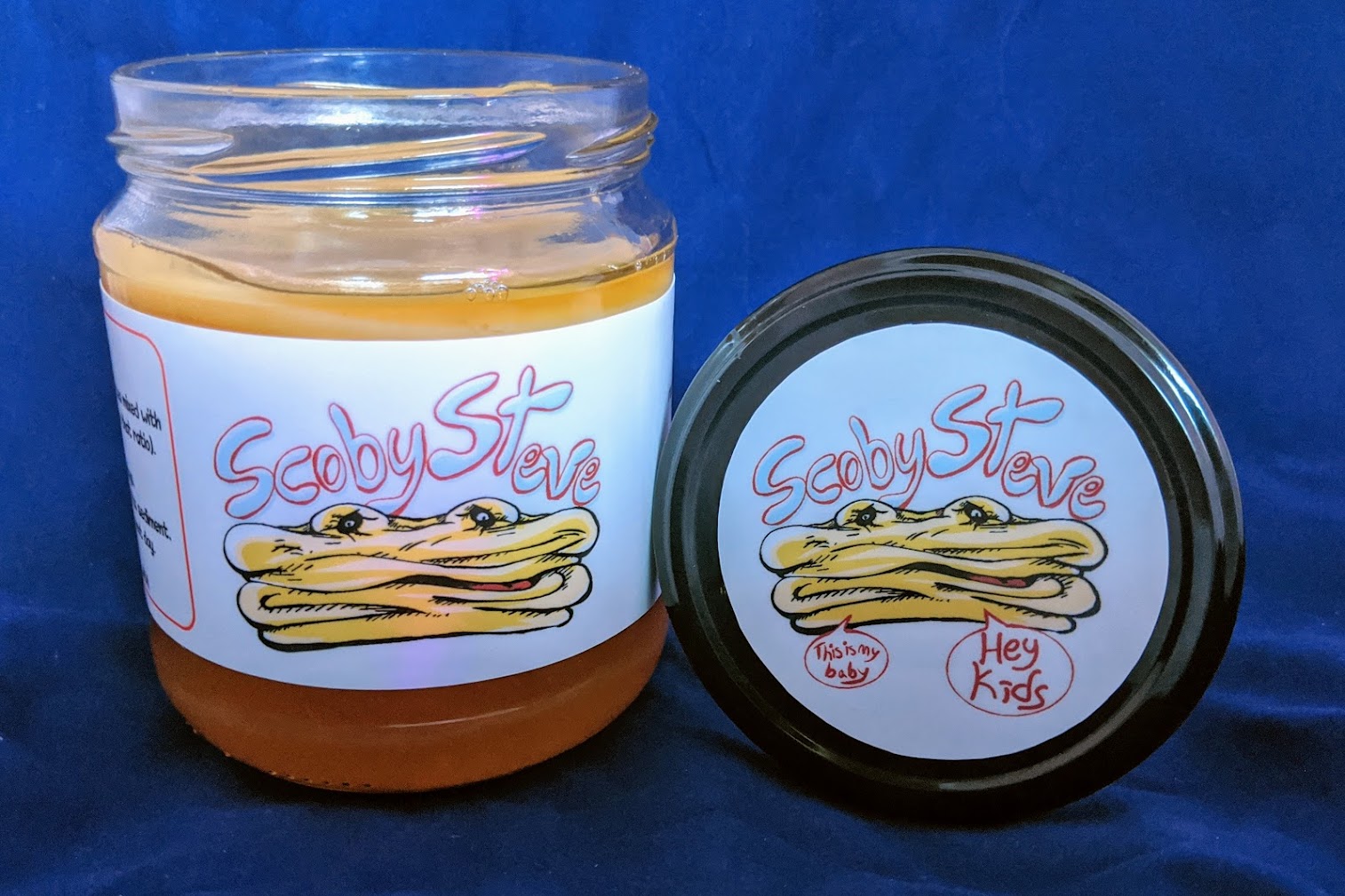 Scoby Steve