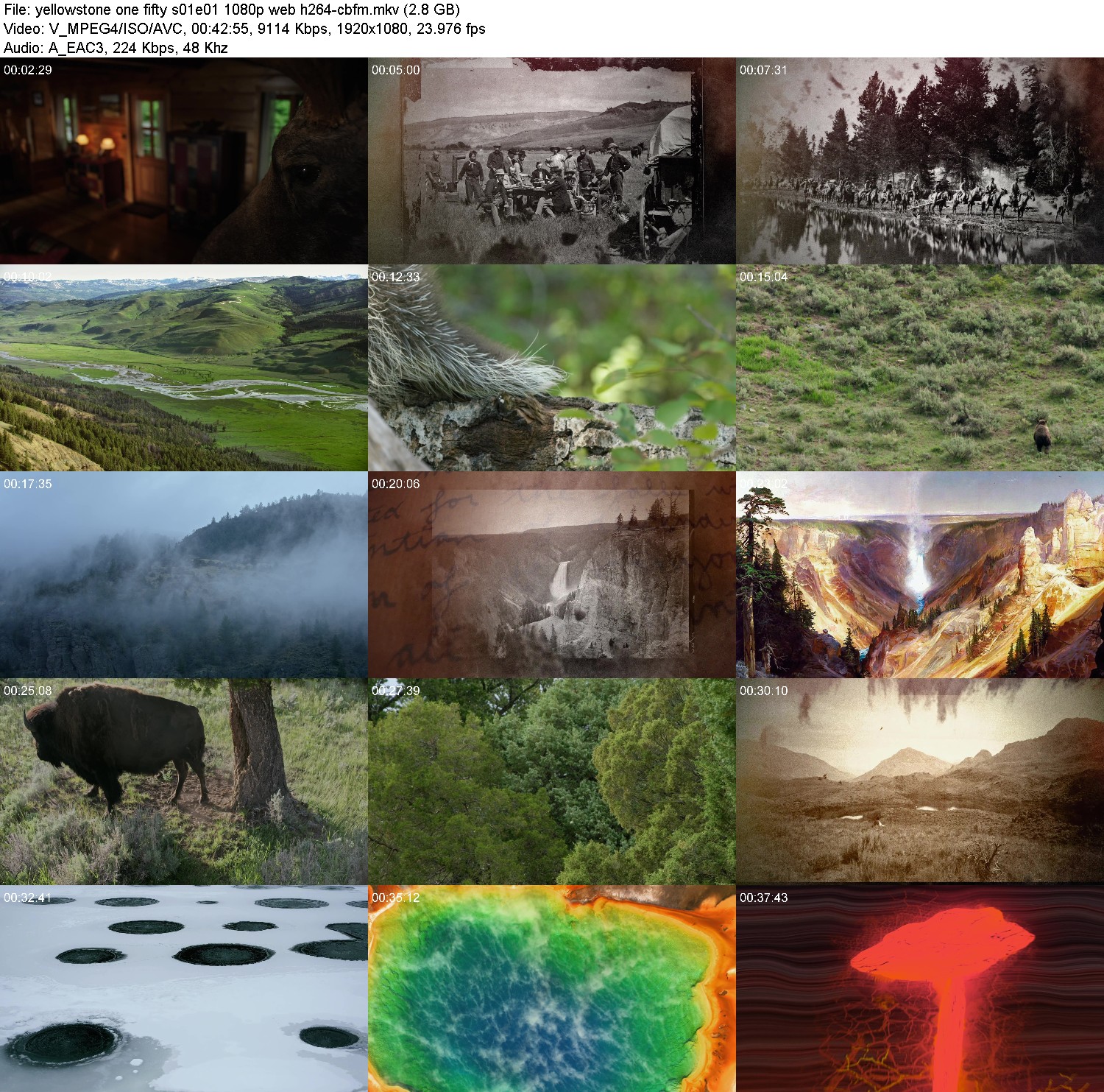 [Image: jz7tef80vxt9.jpg]