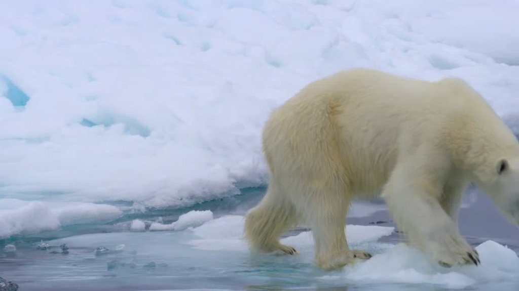 [Image: 788laladkc8o.jpg]