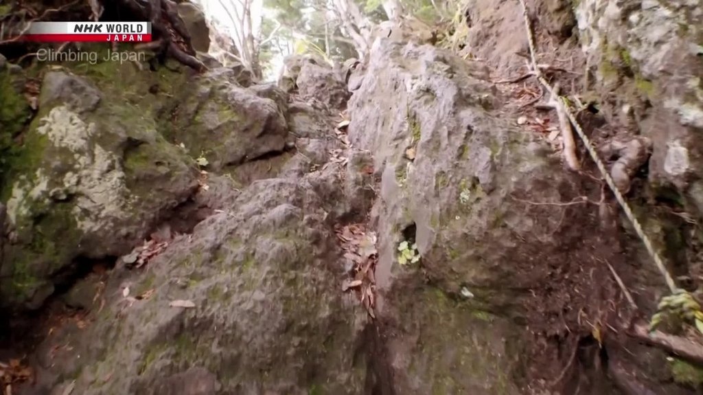 [Image: e4h1xzom8or2.jpg]