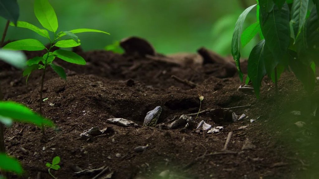 [Image: s35pjaw87bkd.jpg]