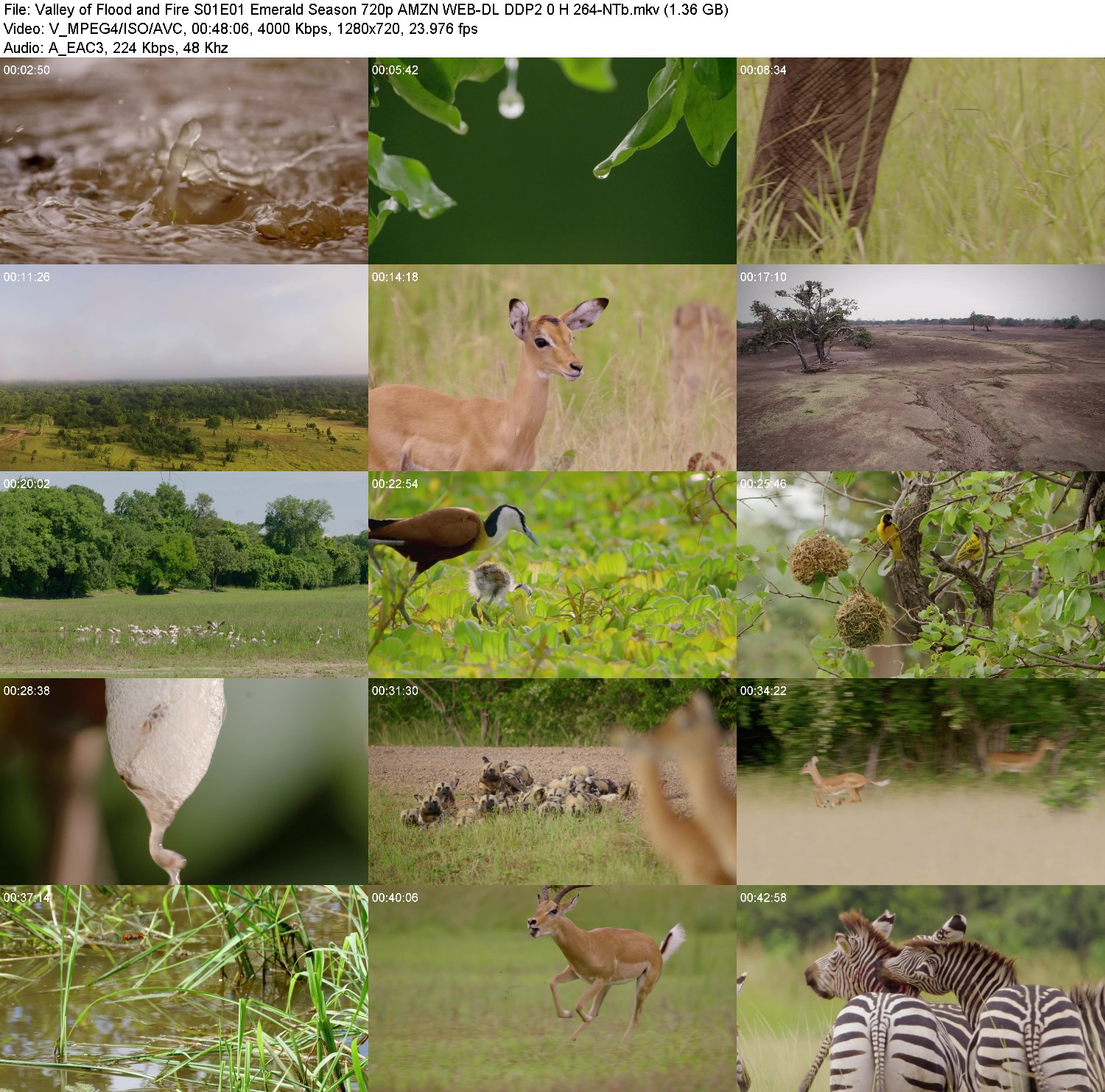 [Image: 3uav28zd5itr.jpg]