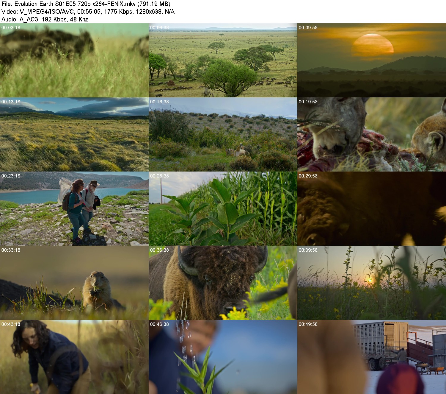 [Image: 6ouwcy32v6ol.jpg]