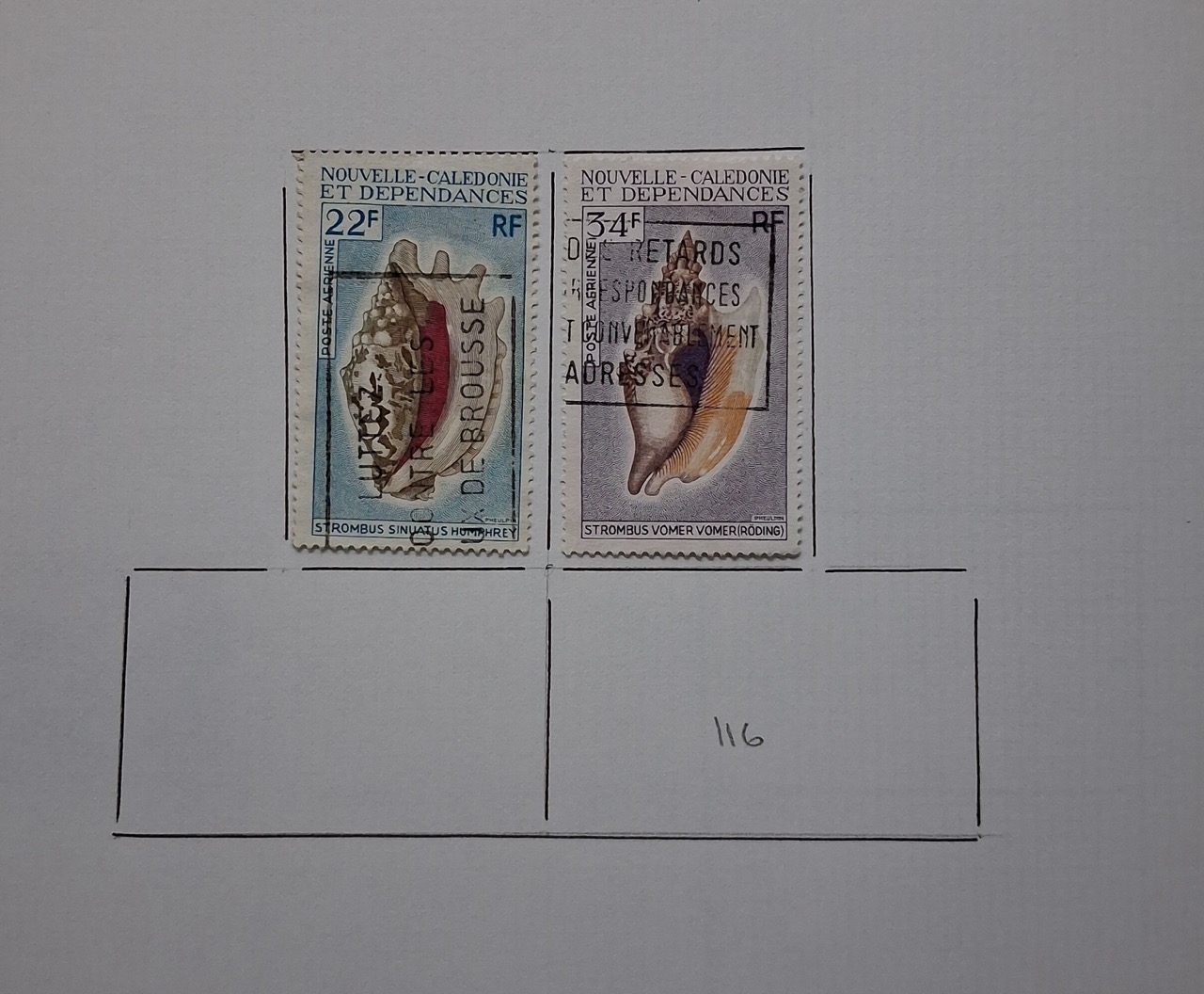 20260830-185828-Grande