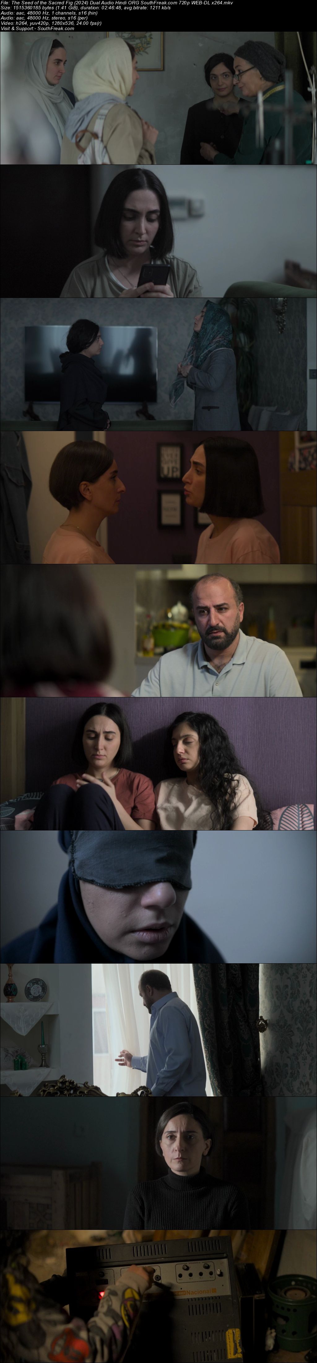 The Seed of the Sacred Fig 2024 Dual Audio Hindi ORG South Freak com 720p WEB DL - hdhubflix, hubflix, hdmovieshub, allmovieshub