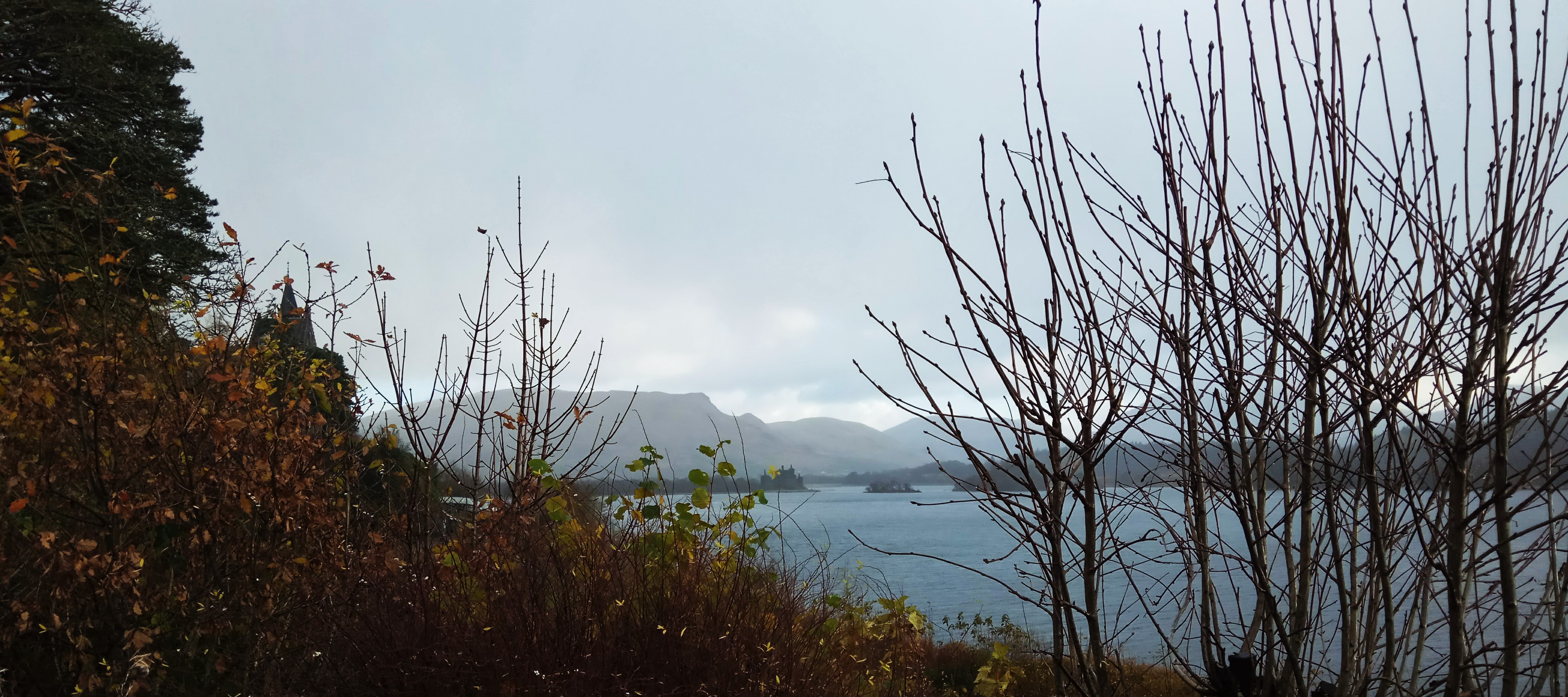 IMG-20171116-101854.jpg