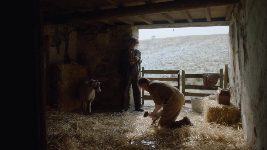 [Image: xymp7a6yw5s9.jpg]