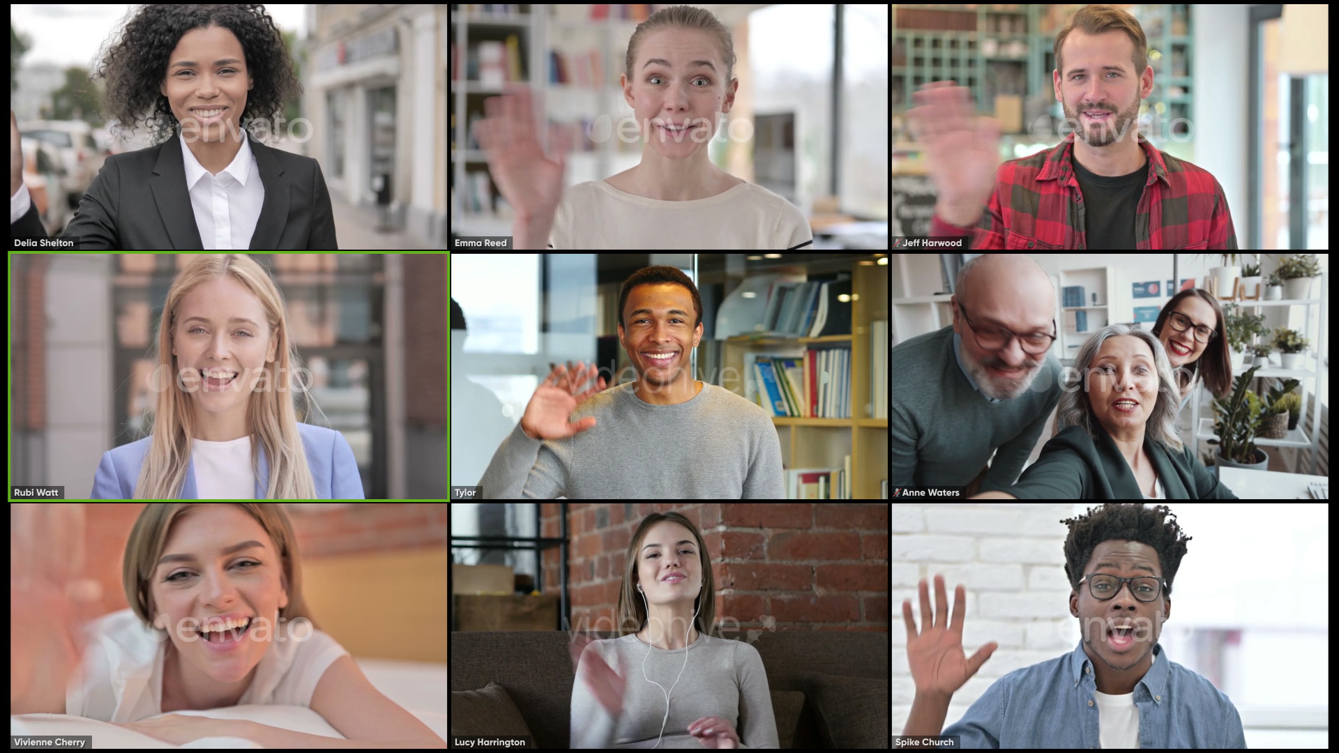 Zoom Views: Online Video Conference Toolkit - 10