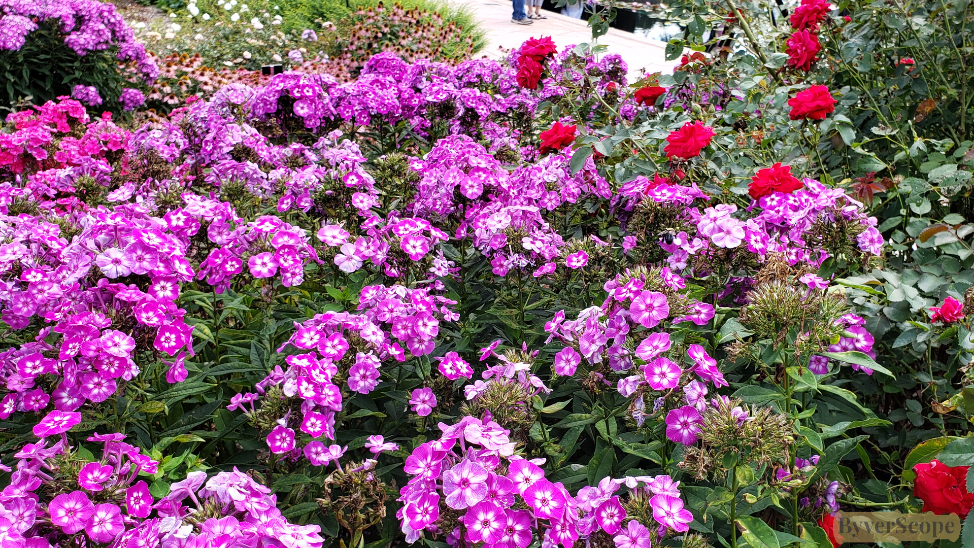 Royal Botanical Gardens - Hendrie Park